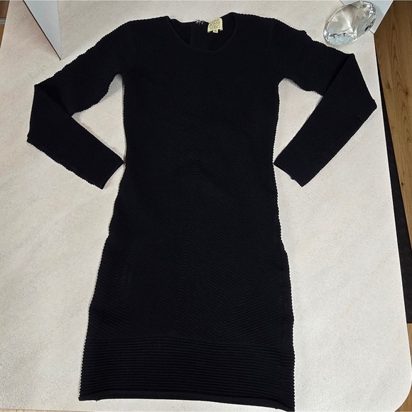 Torn by Ronny Kobo Nightingale Bodycon Dress - Picture 6 of 11